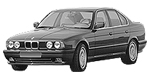 BMW E34 P1091 Fault Code